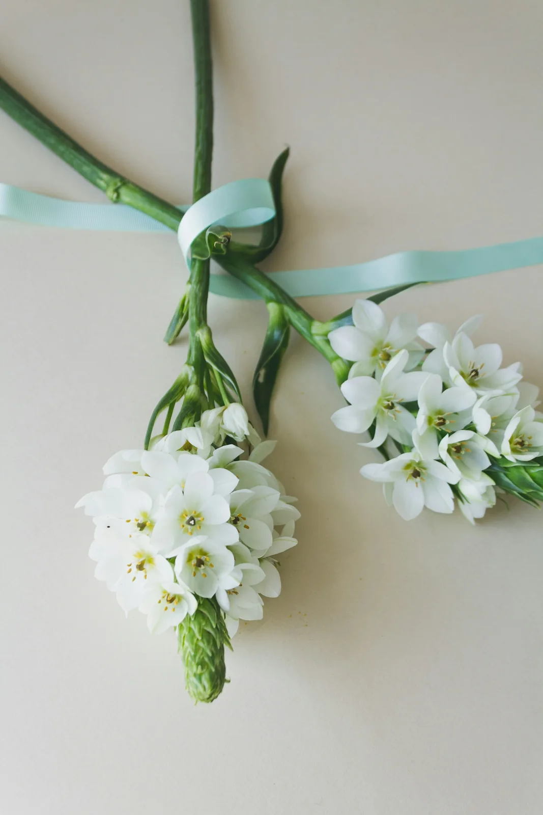 Small white flowers and pale ribbons resting on a light surface